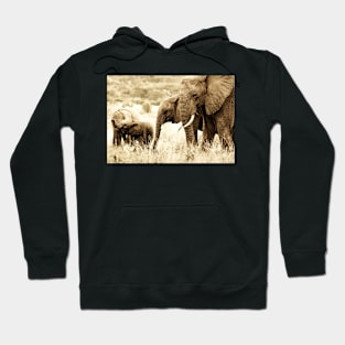 Elephant Family Hoodie